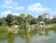 其他案例19